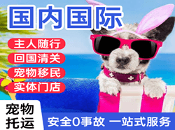 泸州云龙航空快递国际宠物托运 【国